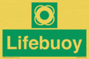 lifebuoy-with-symbol~
